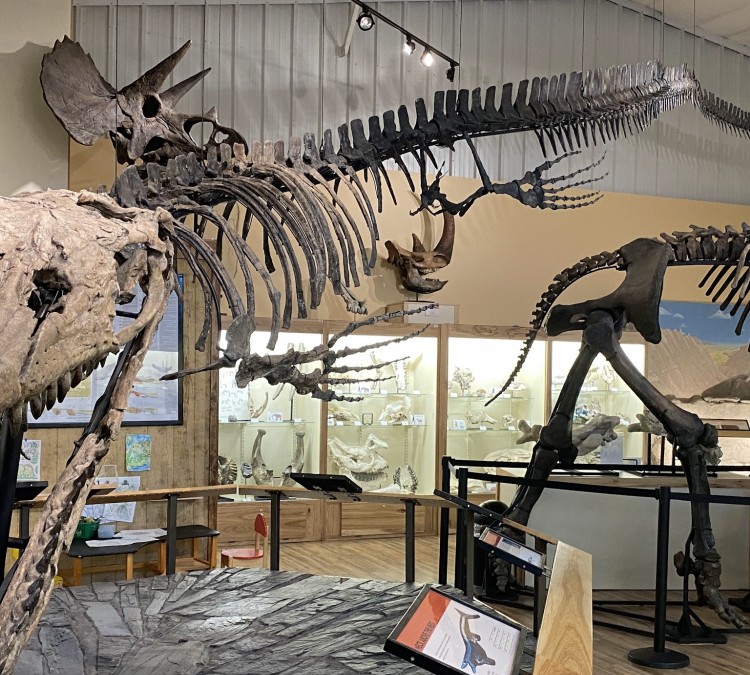 World Fossil Finder Museum (Hot&nbspSprings,&nbspSD)